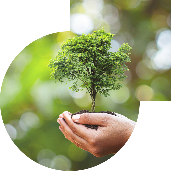 关怀人类、文化、环境与社会